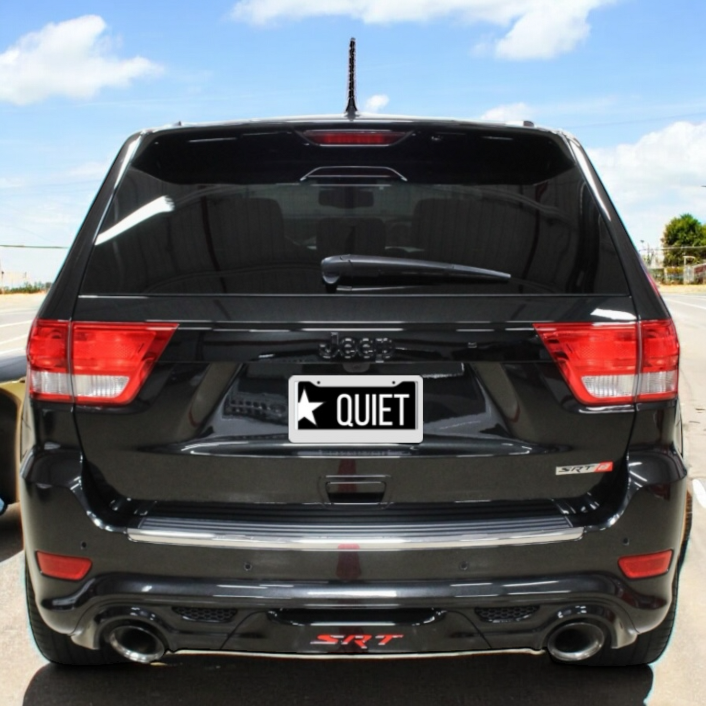 Vanity Plates (Cars)