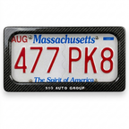 Stealth Plate Veils (USA Style)