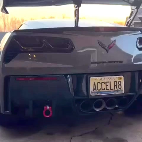 Stealth Plate Flippers (USA Style)